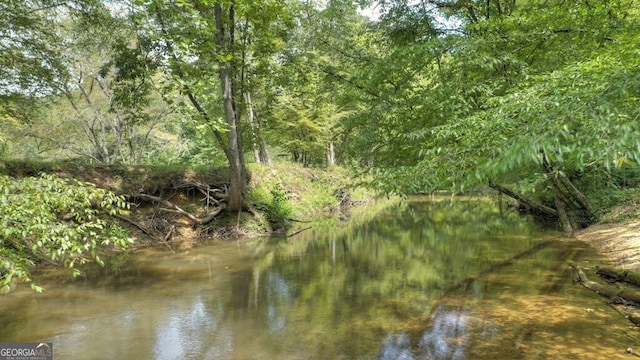 968 Hidden Valley Dr, Morganton, GA 30560 - water view