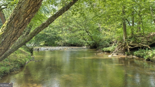 968 Hidden Valley Dr, Morganton, GA 30560 - water view featuring a forest