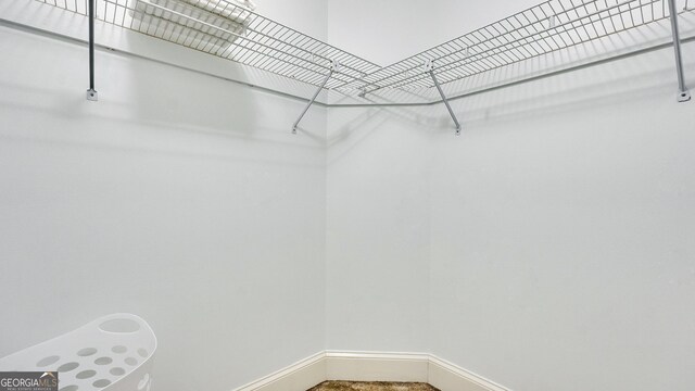 224 Rolling Oaks Dr, Rome, GA 30165 - view of walk in closet