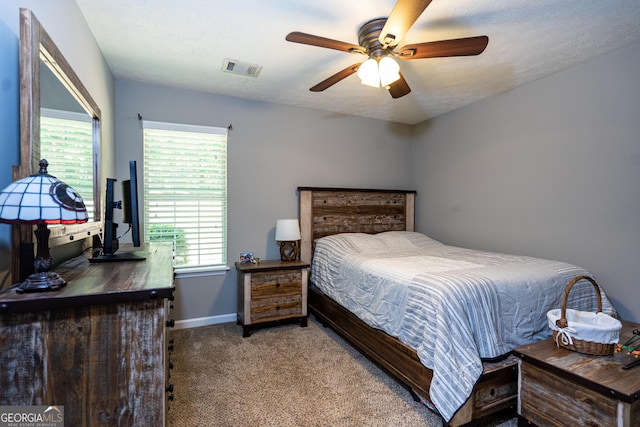 710 Newton Rd, Lagrange, GA 30240 - bedroom with carpet, multiple windows, and a ceiling fan