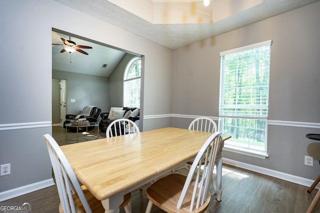 710 Newton Rd, Lagrange, GA 30240 - dining room with vaulted ceiling, dark wood finished floors, and ceiling fan