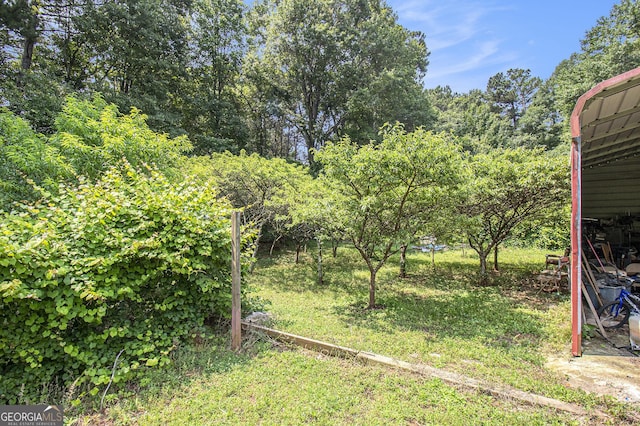 564 Peters St, Statham, GA 30666 - view of yard