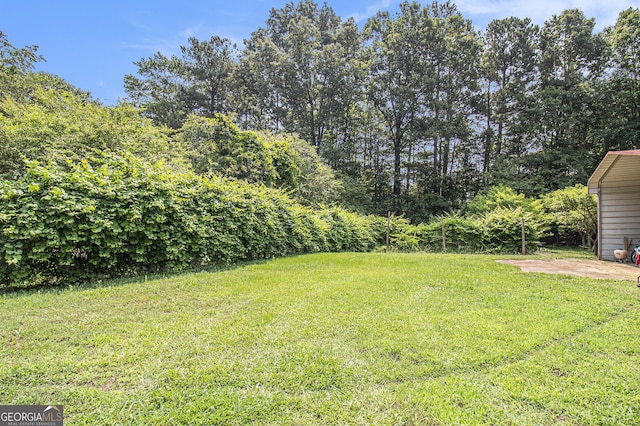 564 Peters St, Statham, GA 30666 - view of grassy yard