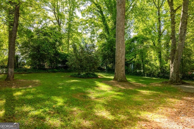 1002 Forrest Blvd, Decatur, GA 30030 - view of grassy yard