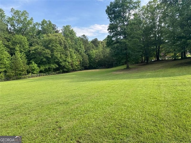 1695 Whitley Rd, Dacula, GA 30019 - view of green lawn