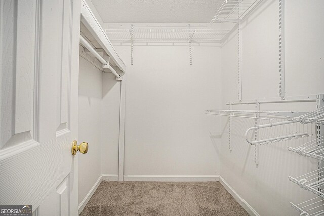 75 Plantation Ln, Locust Grove, GA 30248 - spacious closet featuring carpet floors