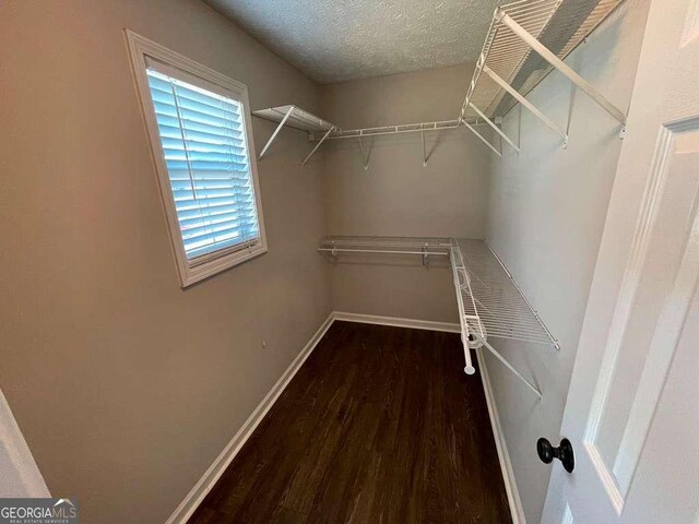 3251 Avensong Village Cir, Milton, GA 30004 - spacious closet featuring wood finished floors