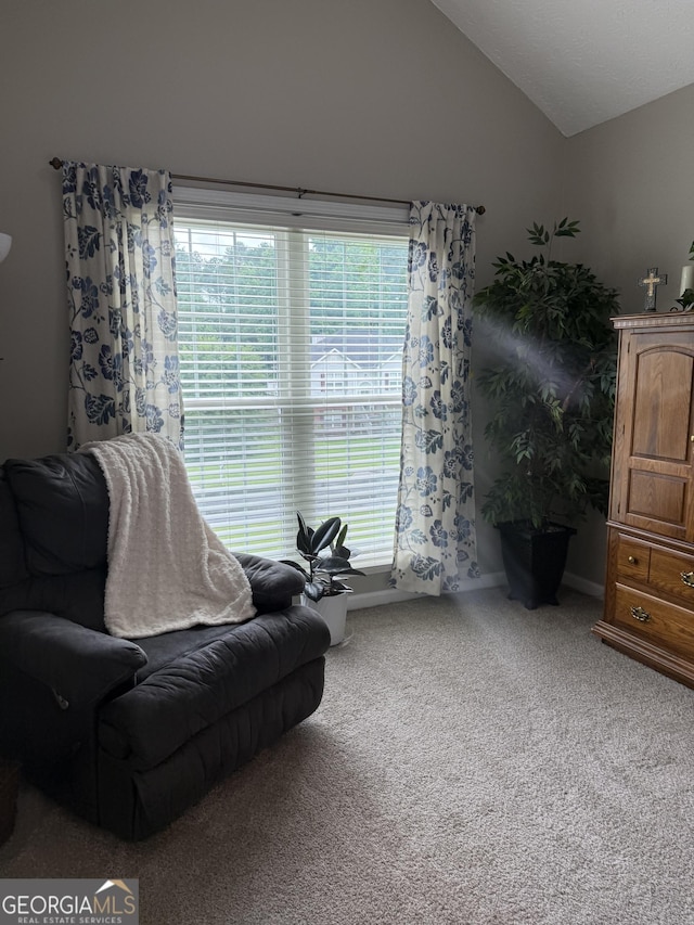 60 Buck Trl, Newnan, GA 30265 - sitting room with plenty of natural light, lofted ceiling, carpet floors, and baseboards