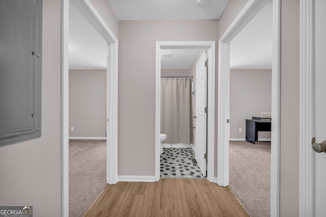 1861 Skyline Dr, Toccoa, GA 30577 - corridor featuring baseboards and carpet floors