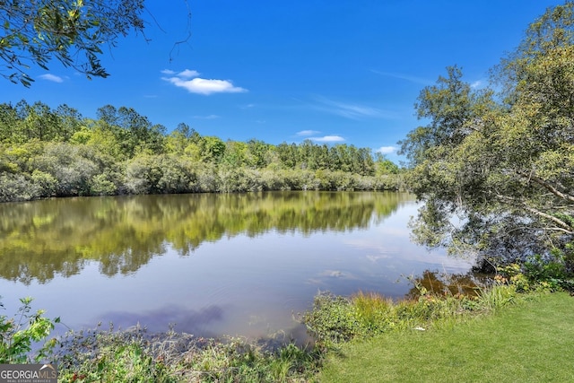 111 Moonlight Trl, Port Wentworth, GA 31407 - water view with a heavily wooded area