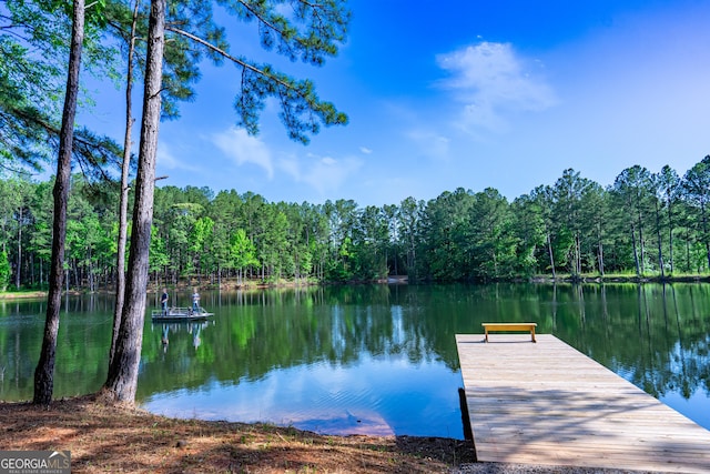 2265 Mobley Bridge Rd, Hogansville, GA 30230 - dock featuring a wooded view and a water view