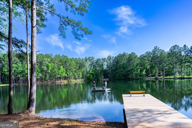 2265 Mobley Bridge Rd, Hogansville, GA 30230 - dock area with a water view and a wooded view