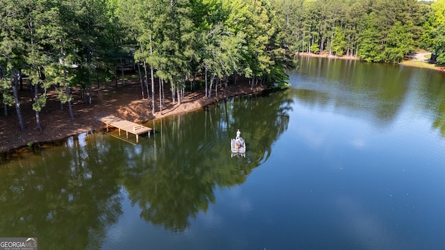 2265 Mobley Bridge Rd, Hogansville, GA 30230 - water view featuring a dock and a forest