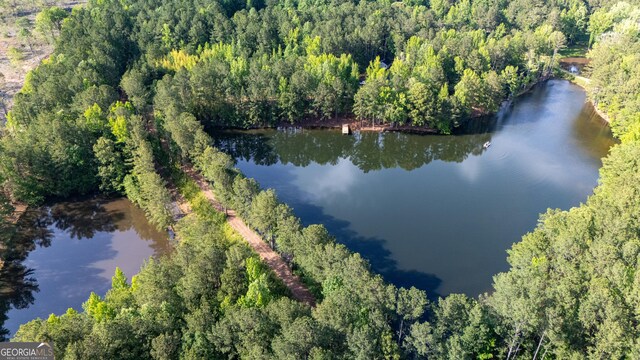 2265 Mobley Bridge Rd, Hogansville, GA 30230 - view of property location with a heavily wooded area and a nearby body of water
