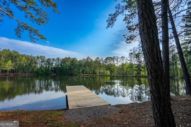 2265 Mobley Bridge Rd, Hogansville, GA 30230 - dock area with a wooded view and a water view