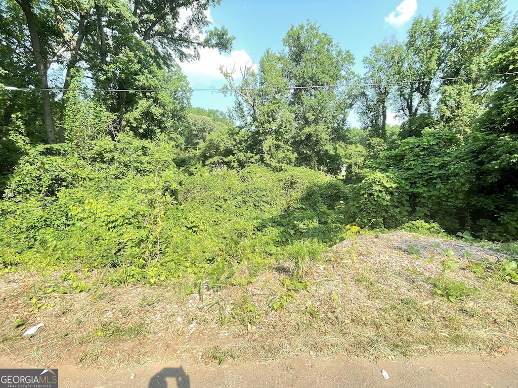 1247 Beechview Dr SE, Atlanta, GA 30316