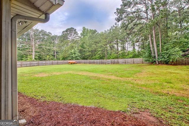 10 1st Ave E, Newnan, GA 30265 - view of yard