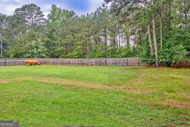 10 1st Ave E, Newnan, GA 30265 - view of yard