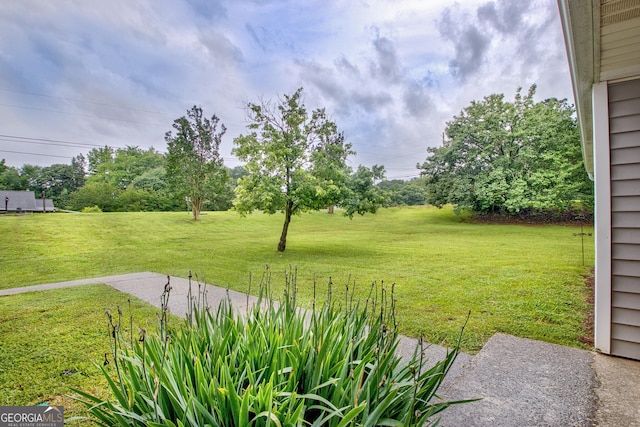 10 1st Ave E, Newnan, GA 30265 - view of green lawn