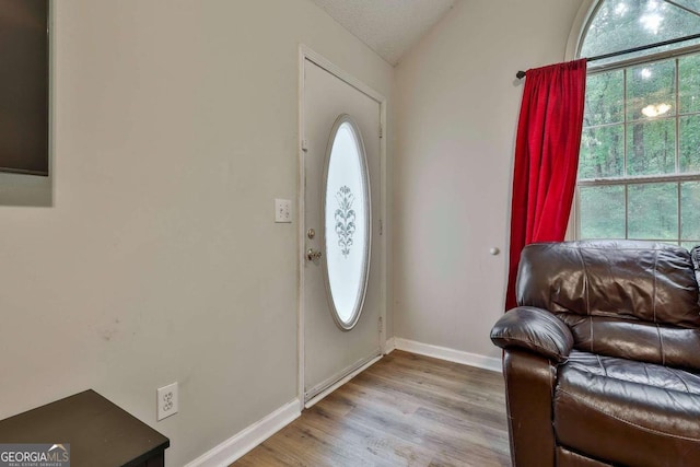 40 Moore Rd, Newnan, GA 30263 - foyer with plenty of natural light, wood finished floors, and baseboards