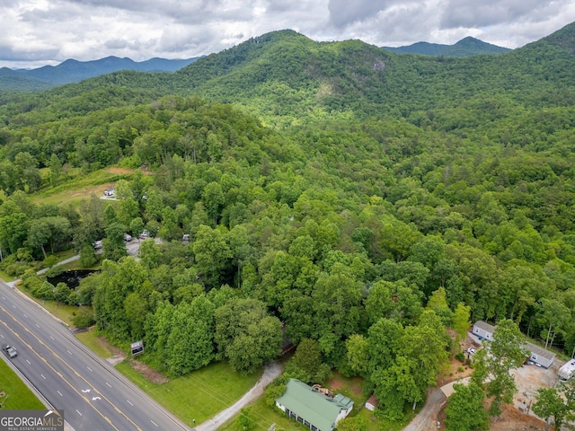 10796 Georgia Rd, Otto, NC 28763