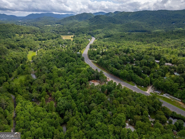 10796 Georgia Rd, Otto, NC 28763