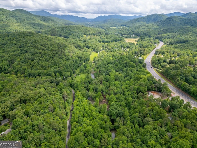 10796 Georgia Rd, Otto, NC 28763