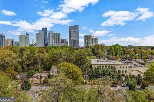 3235 Roswell Rd NE Unit 508, Atlanta, GA 30305 - skyline view