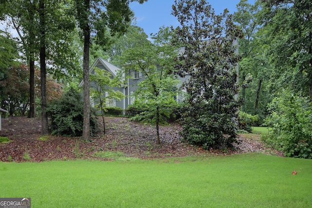 386 Link Rd, Alpharetta, GA 30022 - view of green lawn
