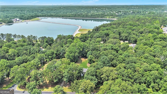 386 Link Rd, Alpharetta, GA 30022 - aerial overview of property's location with a forest and a large body of water