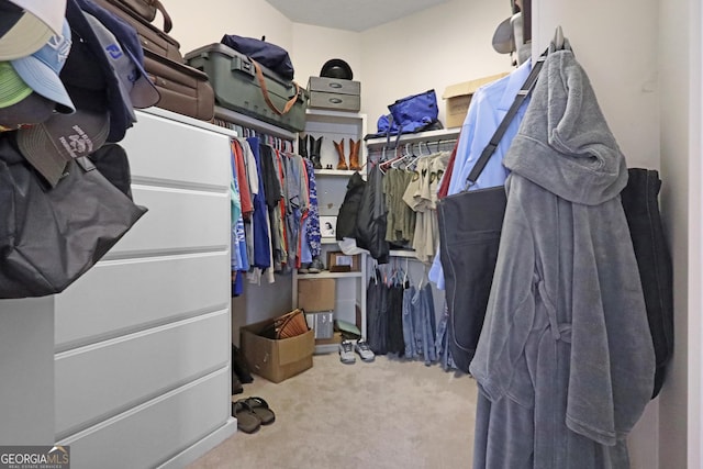 12 Par Dr, Jesup, GA 31546 - walk in closet with carpet floors