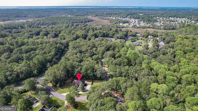 79 Churchill Ct, Richmond Hill, GA 31324 - aerial view of property's location with a forest