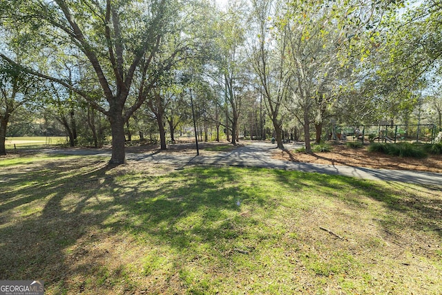 79 Churchill Ct, Richmond Hill, GA 31324 - view of grassy yard