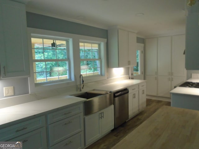 621 Zebulon Rd, Milner, GA 30257 - kitchen featuring stainless steel dishwasher, dark wood-style floors, white cabinetry, light countertops, and plenty of natural light