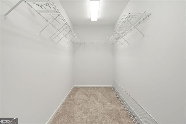 606 Hay Meadow Pl, Acworth, GA 30102 - walk in closet featuring light carpet