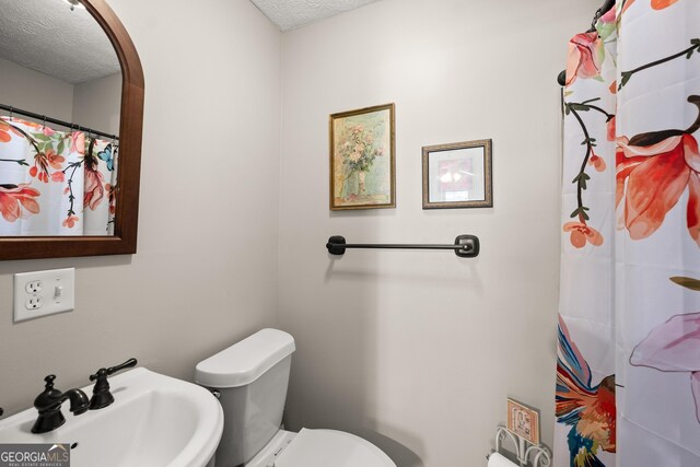 366 Crabapple Rdg, Clarkesville, GA 30523 - bathroom with a sink, a textured ceiling, toilet, and a shower with curtain