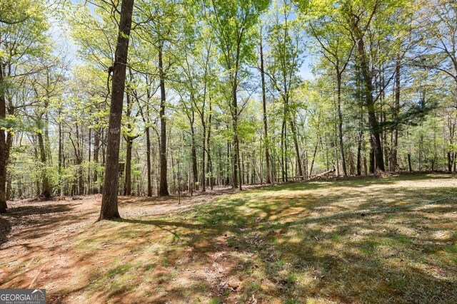 366 Crabapple Rdg, Clarkesville, GA 30523 - view of yard with a forest view