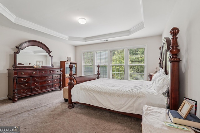 251 Sumac Trl, Woodstock, GA 30188 - carpeted bedroom featuring a tray ceiling and ornamental molding