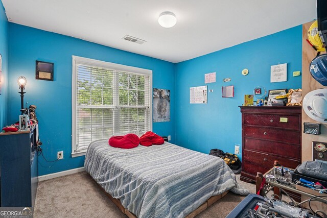 251 Sumac Trl, Woodstock, GA 30188 - bedroom with carpet floors and baseboards