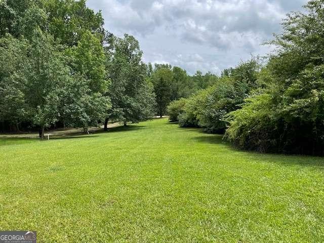 1470 Dunn Rd, Cumming, GA 30040 - view of green lawn