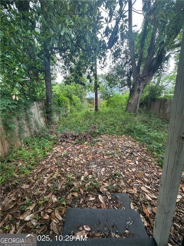 616 W 40th St, Savannah, GA 31415 - view of yard