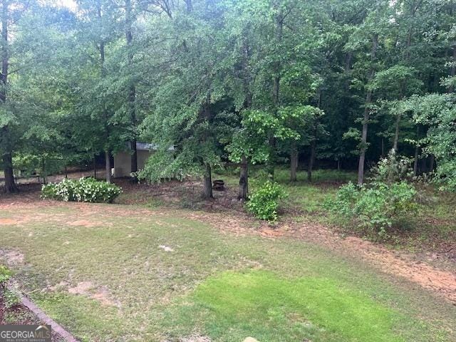 82 Sweetwater Way, Senoia, GA 30276 - view of grassy yard