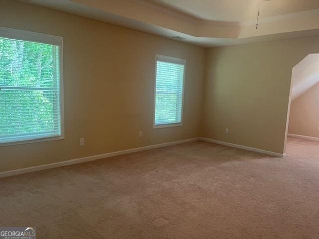82 Sweetwater Way, Senoia, GA 30276 - empty room with light carpet, baseboards, and a tray ceiling
