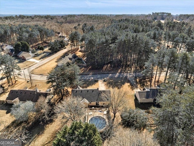 113 Elmwood Dr, Hampton, GA 30228 - aerial view of property's location featuring a forest