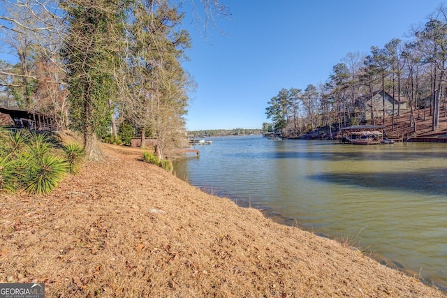 126 Shannon Way, Jackson, GA 30233 - water view