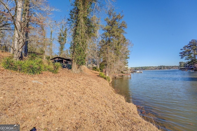 126 Shannon Way, Jackson, GA 30233 - water view