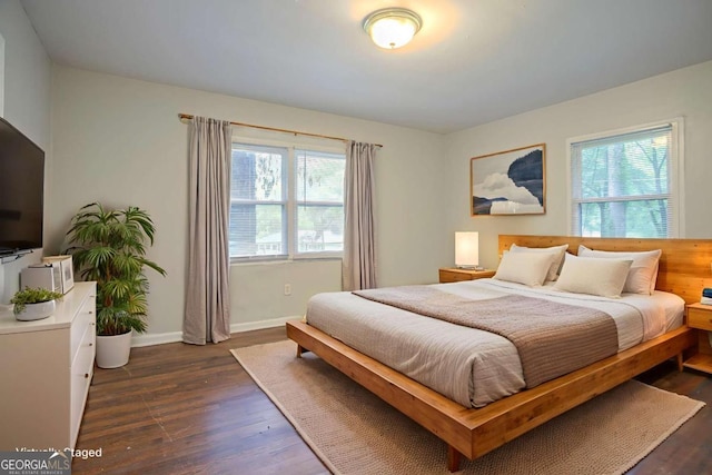 2046 Rector Dr SW, Atlanta, GA 30311 - bedroom with multiple windows and dark wood-type flooring
