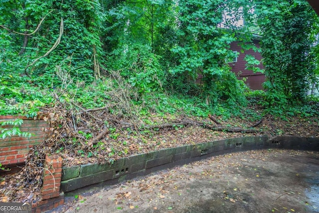 2046 Rector Dr SW, Atlanta, GA 30311 - view of yard