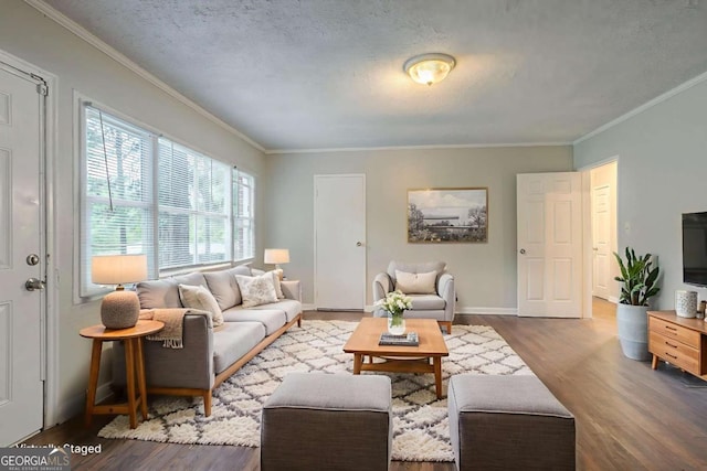 2046 Rector Dr SW, Atlanta, GA 30311 - living room featuring wood finished floors and ornamental molding
