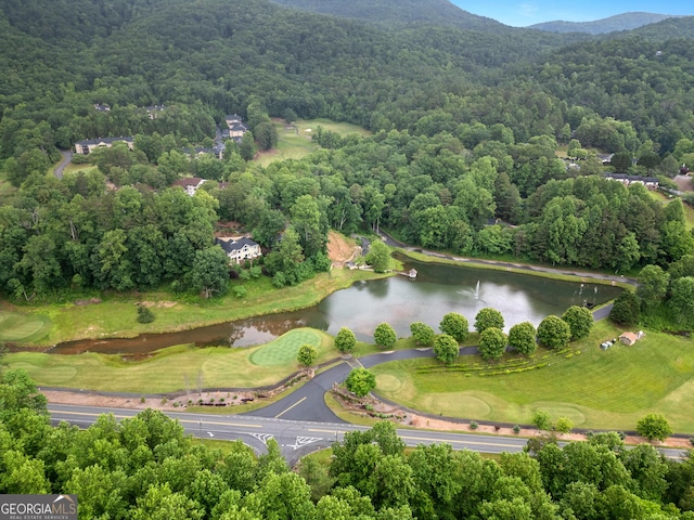 112 Gleneagle Ct Unit D202, Clayton, GA 30525 - drone / aerial view of a forest and a water and mountain view